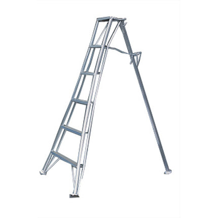 BUSUNG Step Ladder Orchard