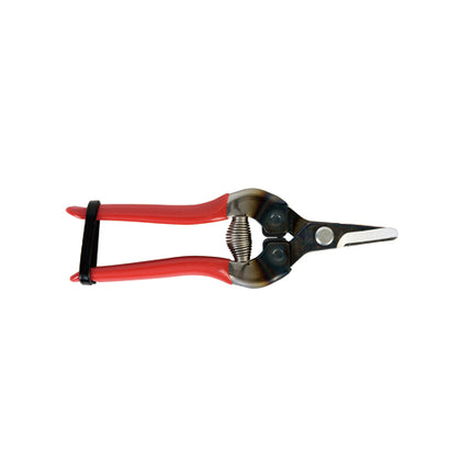 ARS Fruit Thinning Shears 310