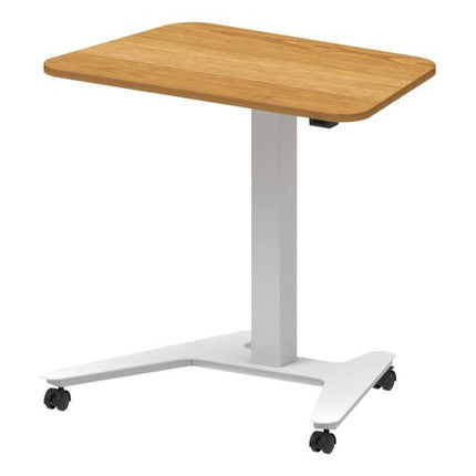 TAEJIN ENG Electric Height-Adjustable Workbench (Mobile) TWT-EUD-M