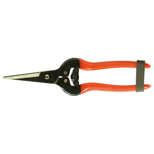 HWASHIN Shears For Picking Fruits P-170