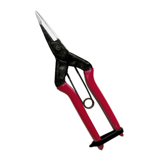 CHIKAMASA Shears For Picking Fruits T-601K