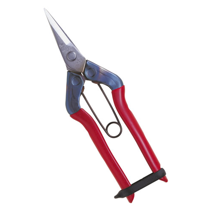 CHIKAMASA Shears For Picking Fruits T-500S