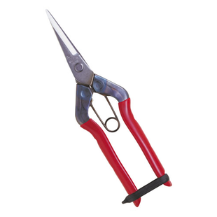 CHIKAMASA Shears For Picking Fruits T-550S