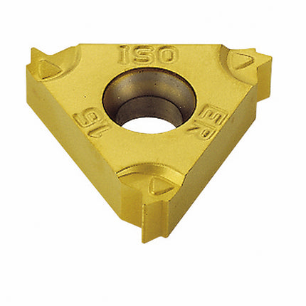 TAEGUTEC Threading Insert 16ERM 3.00 ISO TT9030