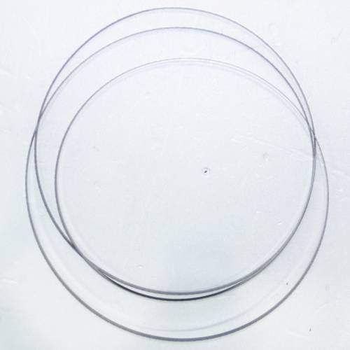 REXON Band Saw Blade 1505*6*6-BS2300A for BS2300A