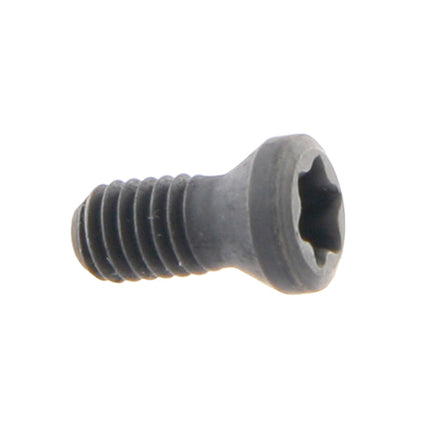CMT Insert Screw FTKA 0410