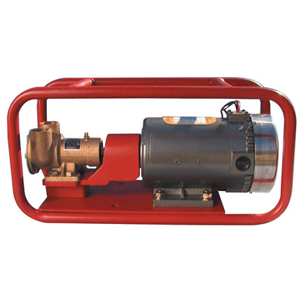 DAEHWA AC Fuel Transfer Pump (Large) DPF80-220