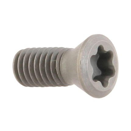 CMT Insert Screw WTX 0813
