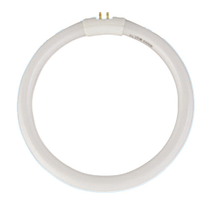 BLUETEC Illuminated Bench Magnifier 3–22×