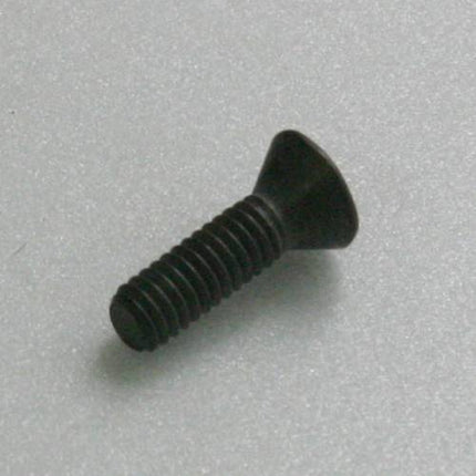 TAEGUTEC Insert Screw S16
