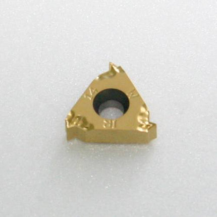 TAEGUTEC Threading Insert 22IR 5 TR TT9030