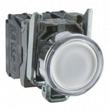SCHNEIDER ELECTRIC XB4BW31B5