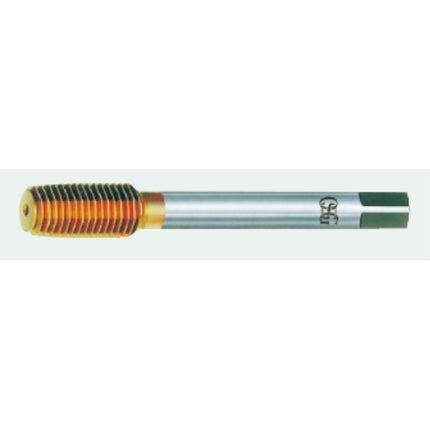 OSG New Roll Form Tap (Steel, TIN), Blind Hole, Made to Order (Non-Returnable) TNRT060-100-SP