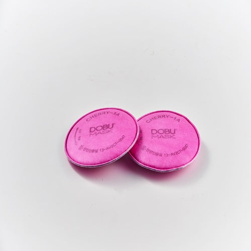DOBU LIFETECH Particulate Filter F-1