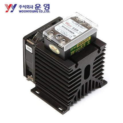 WOONYOUNG Solid State Relay (SSR), Integrated Heat Sink Type WYFNG1C30Z4