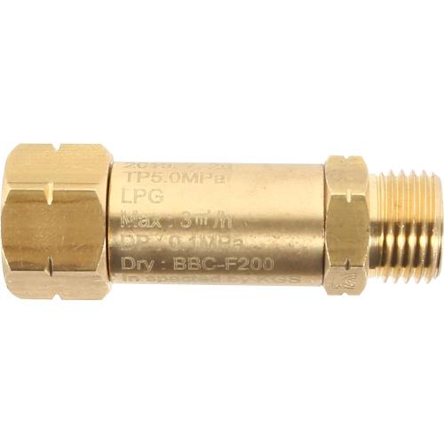BULBUL Flashback Arrestor BCG-310