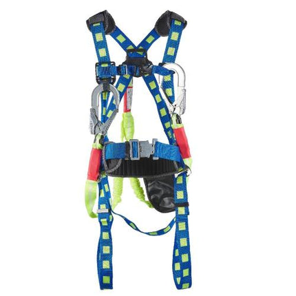 DONGMYUNG Full-Body Harness with Waist Belt DMS-A203-1Y