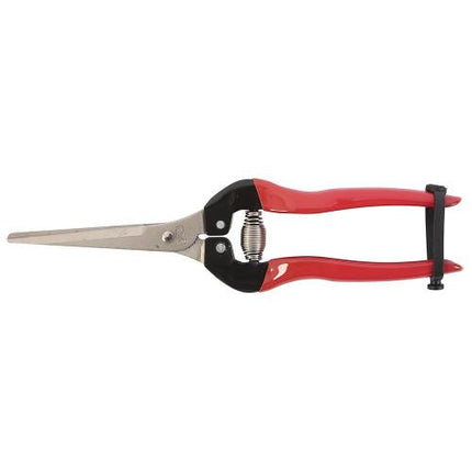 WHITEHORSE Fruit Thinning Shears 205L
