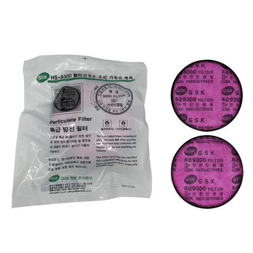 GSK Particulate Filter 9300
