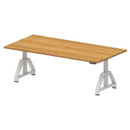 TAEJIN ENG Electric Height-Adjustable Workbench (Medium Load) TWT2010MW-EUD-HA
