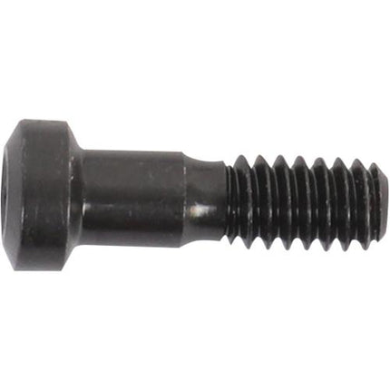 BLUETEC Insert Screw CM6*25A