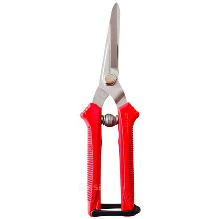 DAEGUN Onion & Garlic Scissors