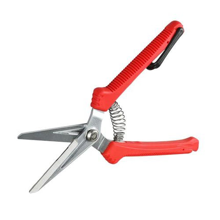 DAEGUN Fruit Thinning Shears Small