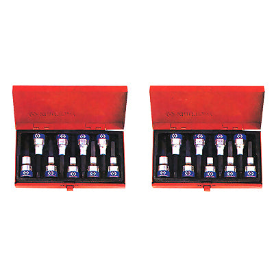 BESTO KING E-Torx Socket Set (Rail Set) WS-1/2-6E-K