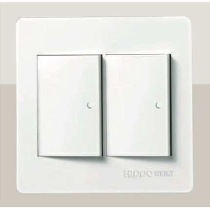 HIPPO Wide Switch, Large, 2 Gang DS-2200
