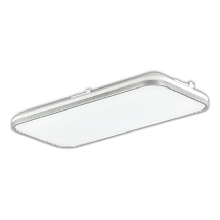 HIPPO LED Rectangular Framed Room Light DR-228C/W
