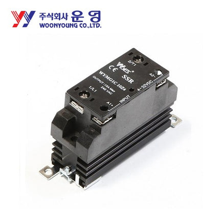 WOONYOUNG Solid State Relay (SSR), Socket Type, DIN Rail Mount (Pack of 10) WYMS1C0530D4