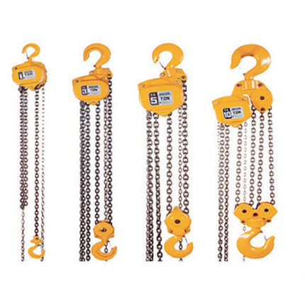 DAESAN Chain Block DH-100DS 1TON-2.5M 11.5Kg