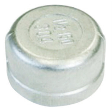 SANG-A Stainless Steel Fitting (C), Cap SA-SC3 80A