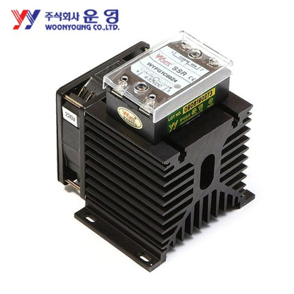 WOONYOUNG Solid State Relay (SSR), Integrated Heat Sink Type WYFNH1C40Z4