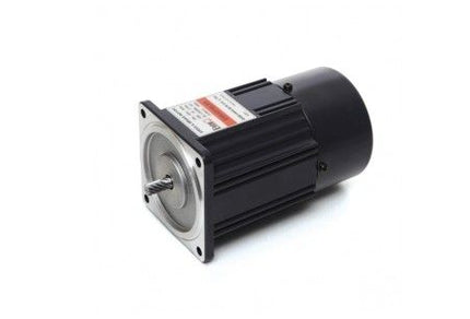 DAEHWA AC Motor E9I40PTL-E