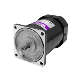 SPG AC Motor S9R60GBH