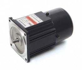 DAEHWA AC Motor E8R25PBL-E