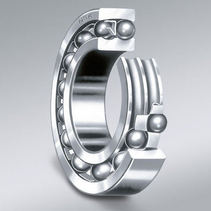 NSK Stainless Self-Aligning Ball Bearing S1205TN