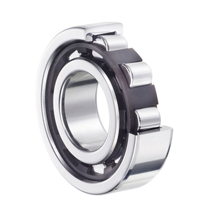 NTN NF204 Cylindrical Roller Bearing - D=20