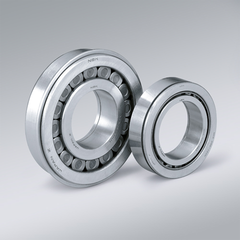 Collection image for: NSK Cylindrical Roller Bearings